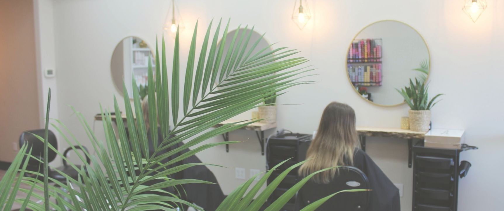 The Be You Hair Boutique salon, showcasing one of our palm plants.